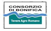 Consorzio